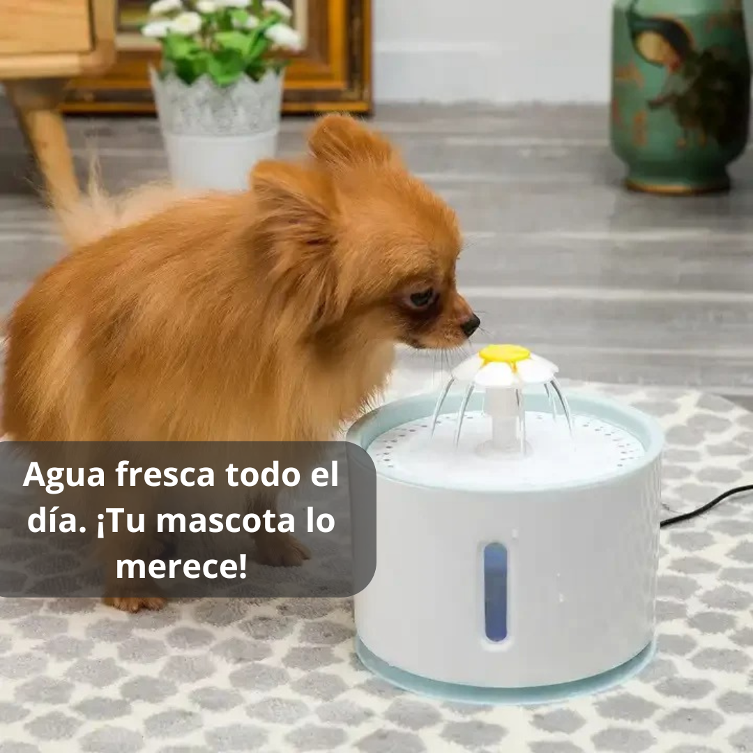 Bebedero Automático Para Mascotas