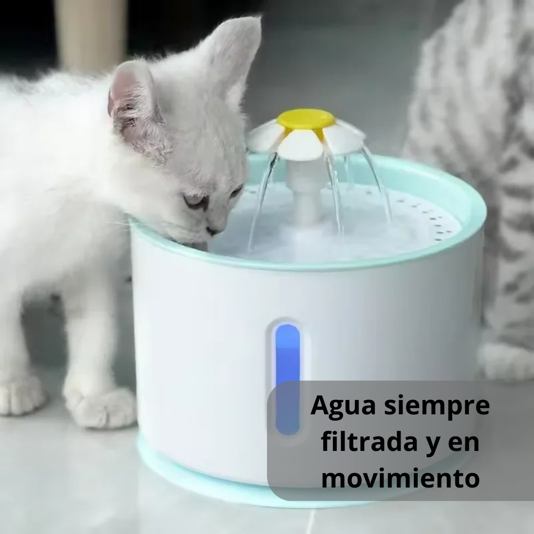 Bebedero Automático Para Mascotas